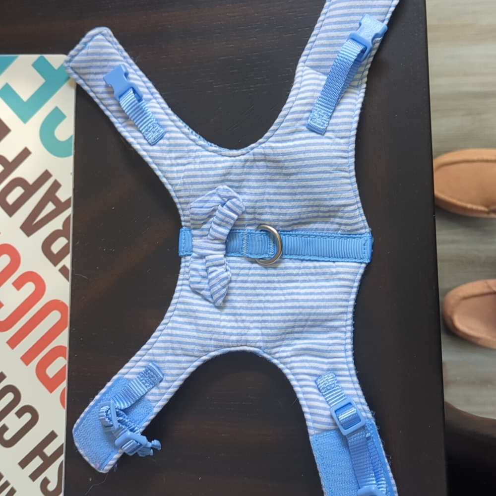 XXS dog harness